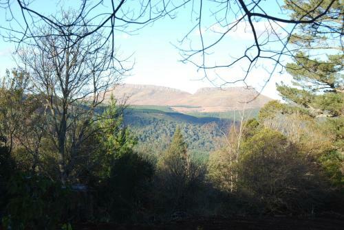 Laragh-on-hogsback