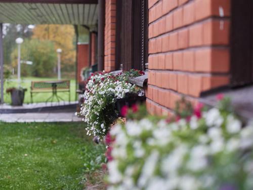 Hotel Pielinen