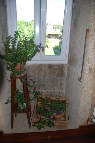Agroturismo Hotel Rustico Casa Do Vento
