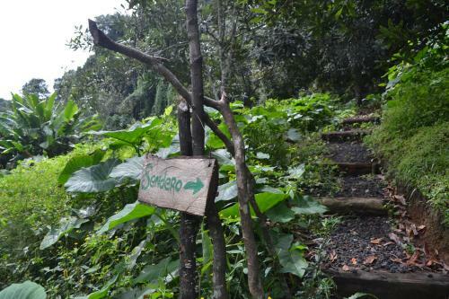 Agroturismo Caba�as La Jicarita