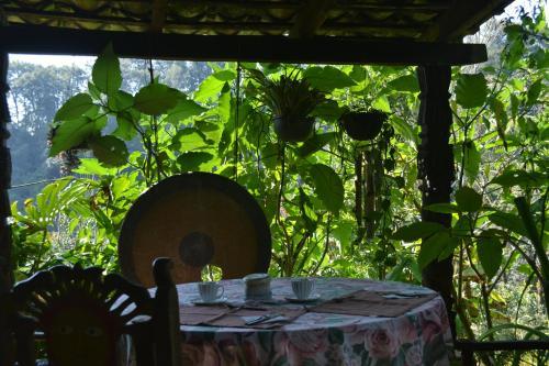 Agroturismo Caba�as La Jicarita