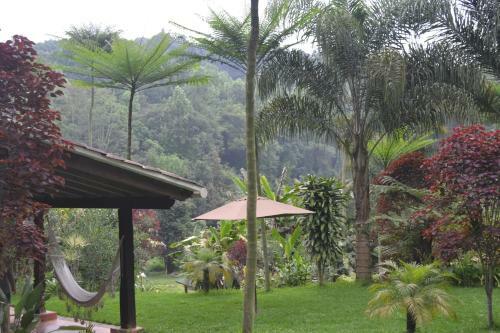 Agroturismo Caba�as La Jicarita