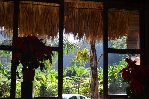 Agroturismo Caba�as La Jicarita