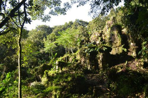 Agroturismo Caba�as La Jicarita