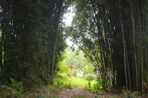 Agroturismo Caba�as La Jicarita