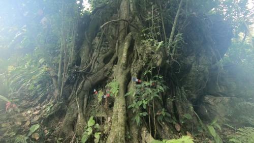 Agroturismo Caba�as La Jicarita