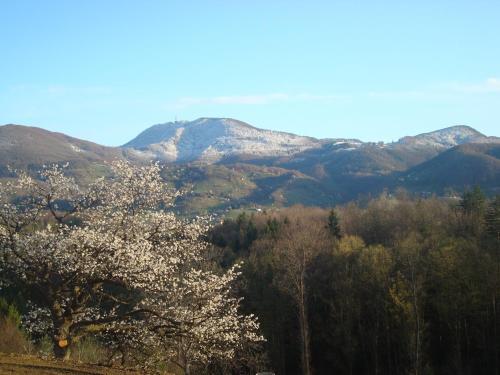 Hostal Tourist Farm Marjanca