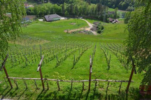 Hostal Tourist Farm Marjanca