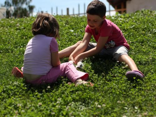 Hostal Tourist Farm Marjanca