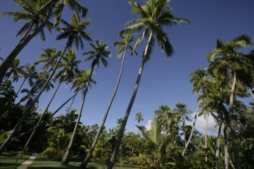 Hotel Fafa Island Resort
