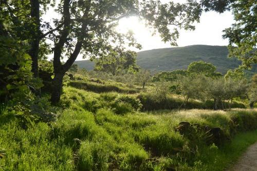 Agroturismo Casa Rural Las Fuentes De �gata