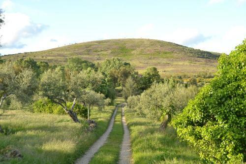 Agroturismo Casa Rural Las Fuentes De �gata