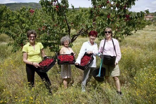 Agroturismo Casa Rural Las Fuentes De �gata