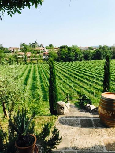 Agroturismo Villa Butussi