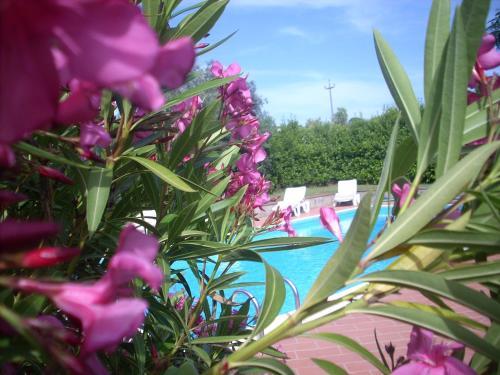 Hostal Azienda Agrituristica Allumiere
