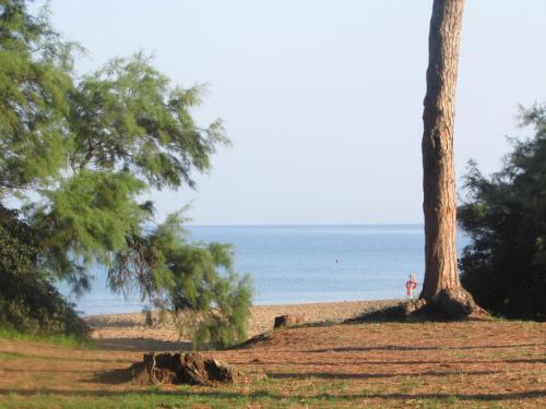 Hostal Azienda Agrituristica Allumiere