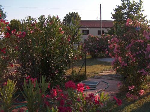 Hostal Azienda Agrituristica Allumiere