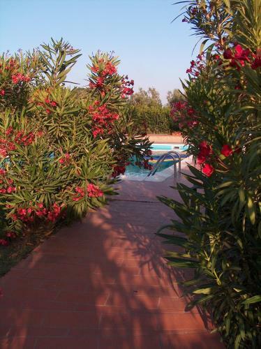Hostal Azienda Agrituristica Allumiere