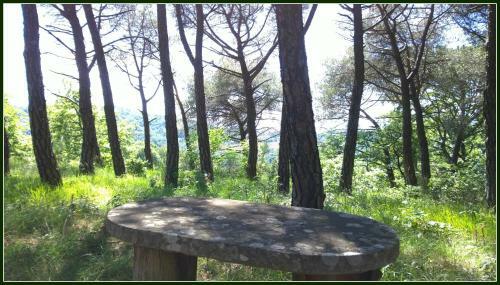 Agroturismo La Scheggia Holiday