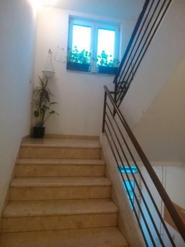 Apartments Vozdovac