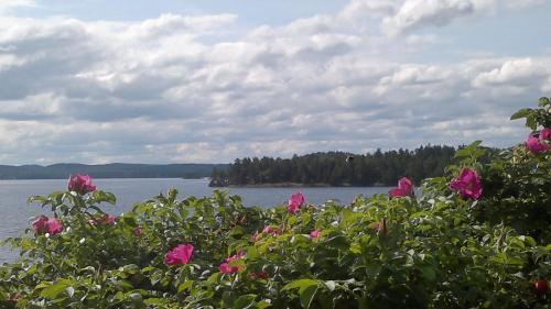 Bed & Breakfast Fem Rum Och K�k