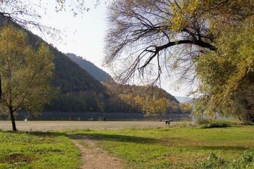 Hostal R�cz Fogad�