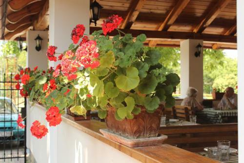 Hostal R�cz Fogad�