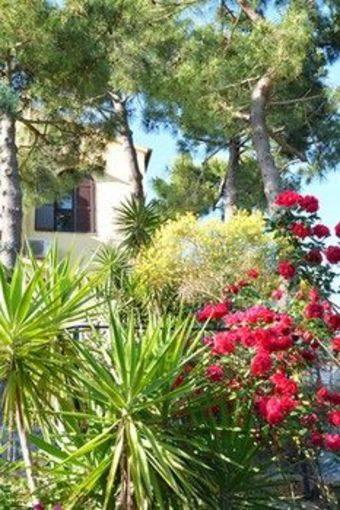 Apartamento Neranya