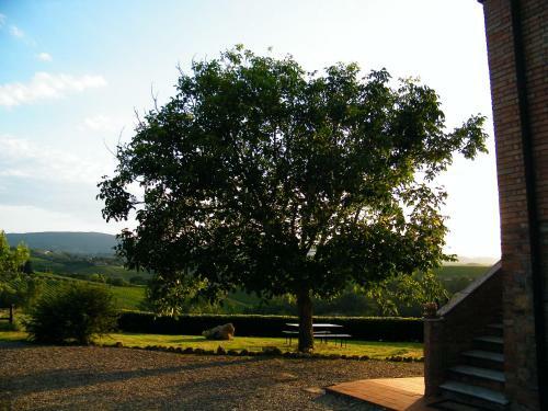 Agroturismo Agriturismo Montegonfoli