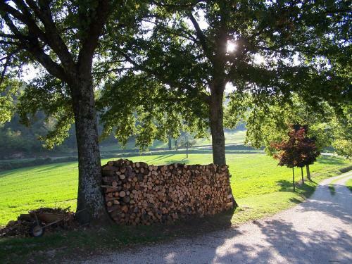 Hostal Agriturismo Fontandrone