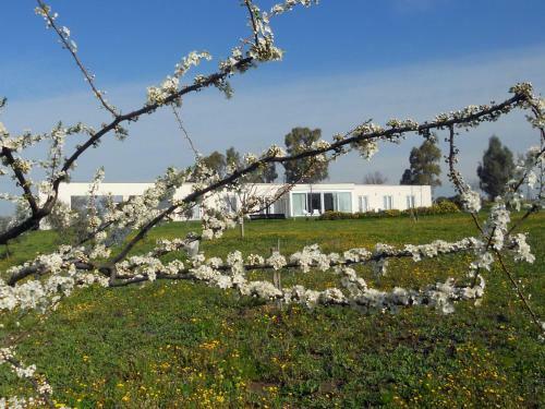 Hostal Costantucci Country House