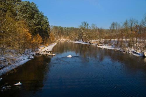 Willa Alicja