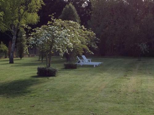 Hostal Ruapehu Country Lodge