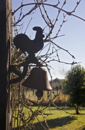 Hostal Ruapehu Country Lodge