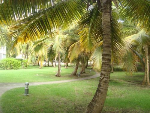 Apartamento Studio Les Grenadines