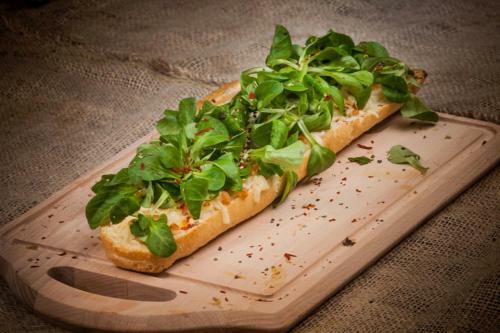 Hotel Kompleks Noclegowy Masz