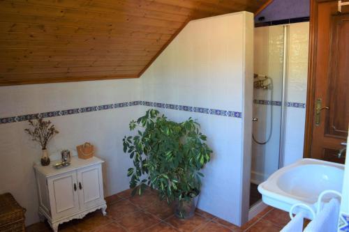 Agroturismo Casas Cuncheiro