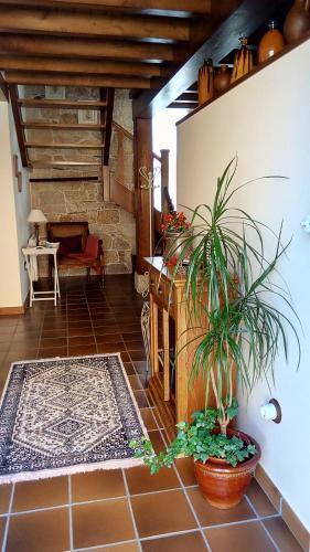 Agroturismo Casas Cuncheiro