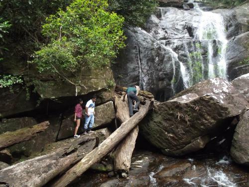 The Rainforest Ecolodge - Sinharaja