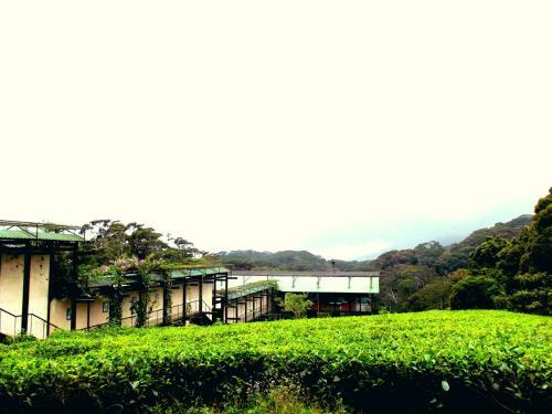 The Rainforest Ecolodge - Sinharaja