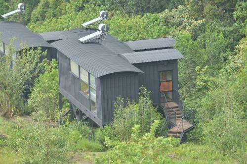 The Rainforest Ecolodge - Sinharaja