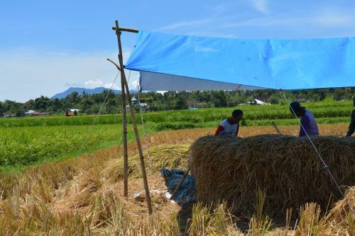 Koto Hilalang Homestay