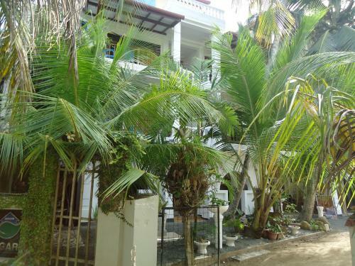 Hostal Sky Garden Guest House