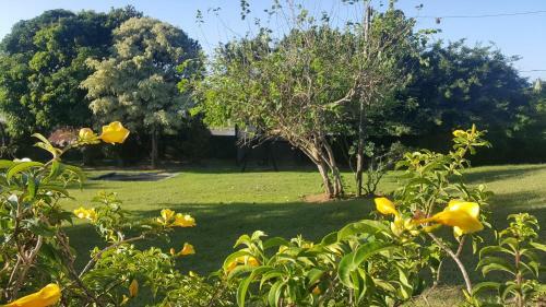 Hostal Rose Of Sharon