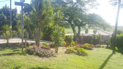 Hostal Rose Of Sharon