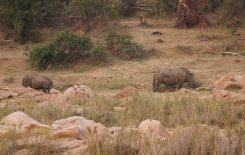 Kruger River Self-catering