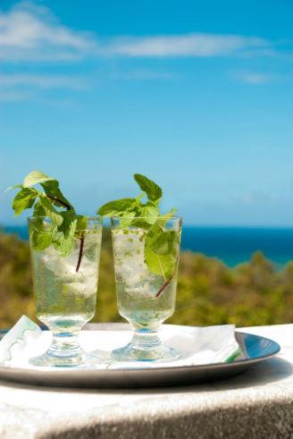 Hotel Mynt Retreat & Spa