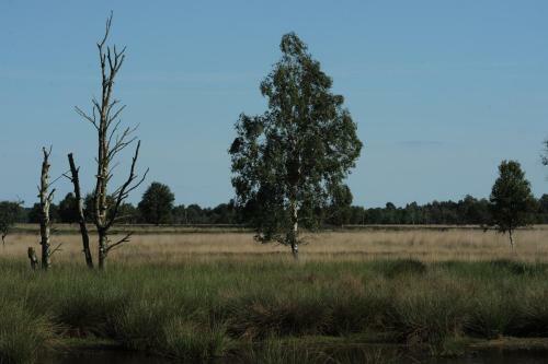 Hampshire Hotel Zuid-drenthe