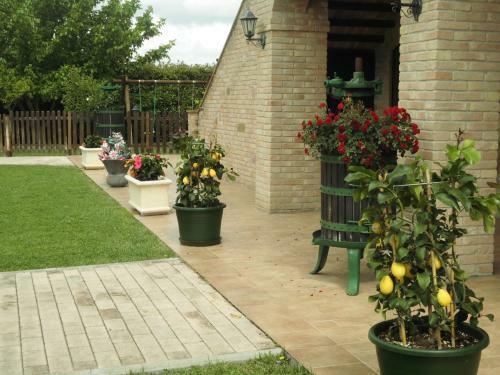 Bed & Breakfast Il Casale Della Fornace
