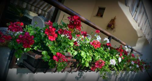Agroturismo B&B La Betulla
